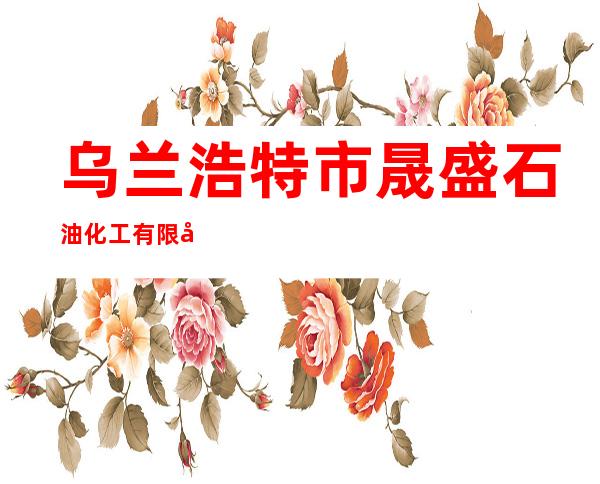 乌兰浩特市晟盛石油化工有限公司第二加气加油站