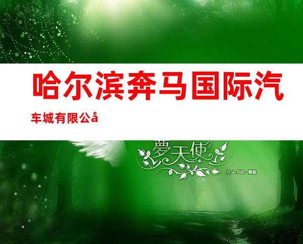 哈尔滨奔马国际汽车城有限公司