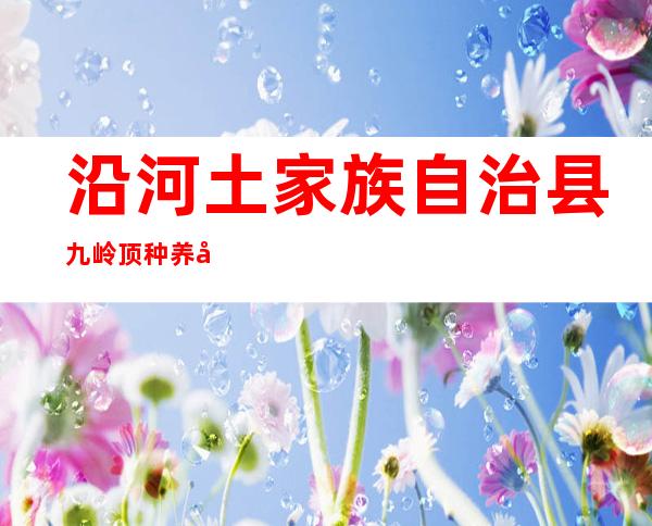 沿河土家族自治县九岭顶种养农民专业合作社