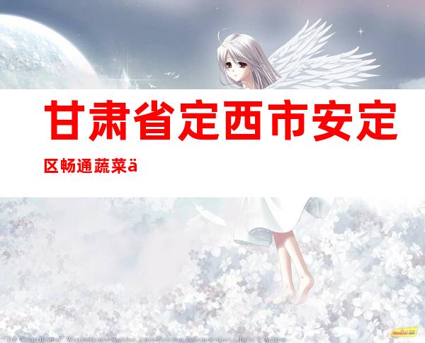 甘肃省定西市安定区畅通蔬菜代办农民专业合作社
